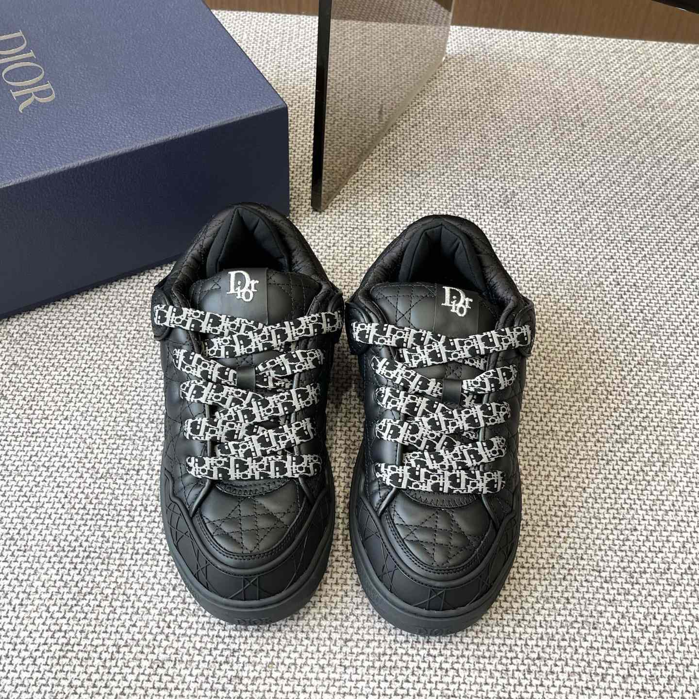 Dior B9S Skater Sneakers - DesignerGu