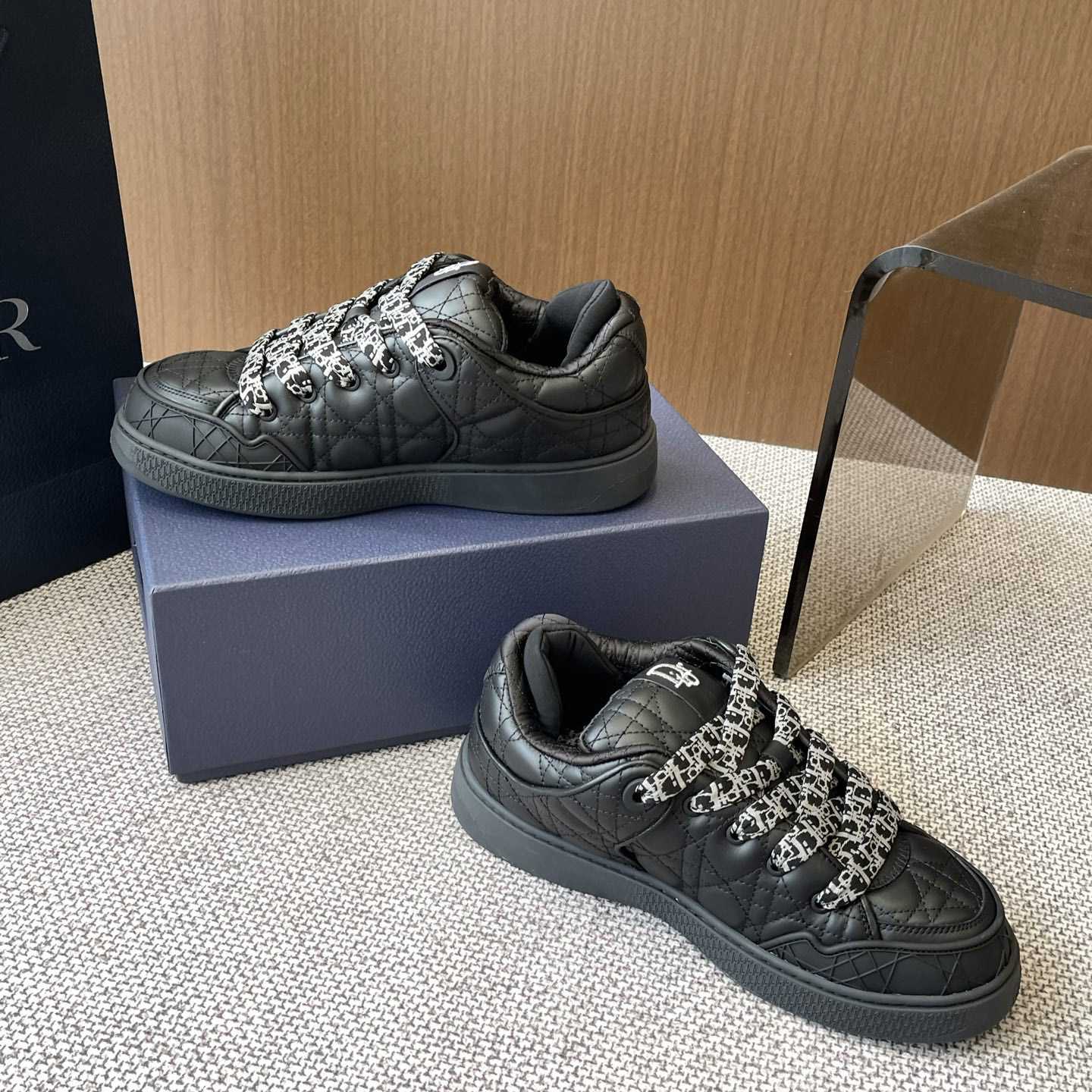 Dior B9S Skater Sneakers - DesignerGu