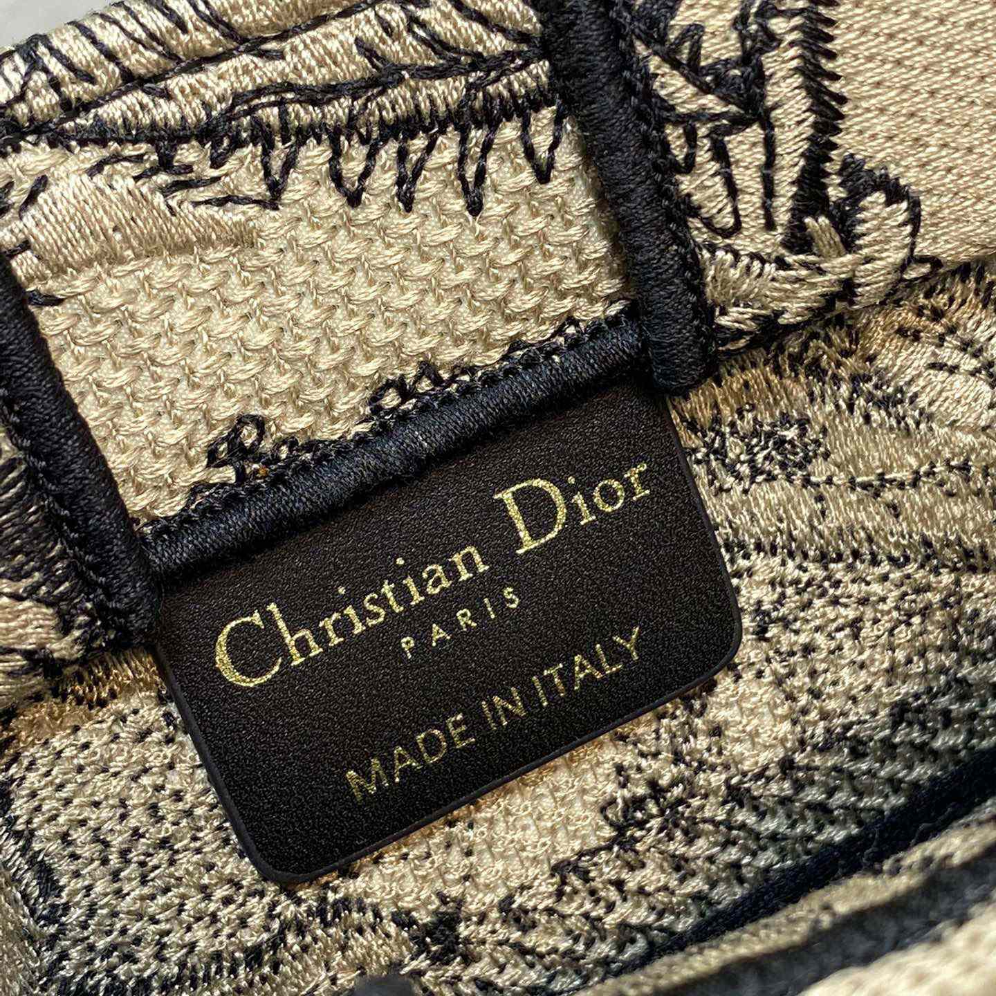 Dior Mini Dior Book Tote Phone Bag - DesignerGu