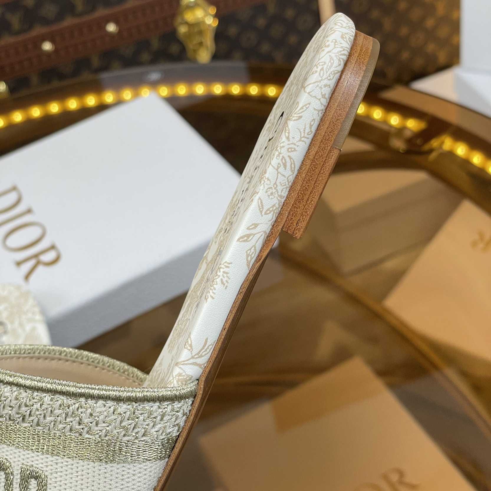Dior Dway Slide - 