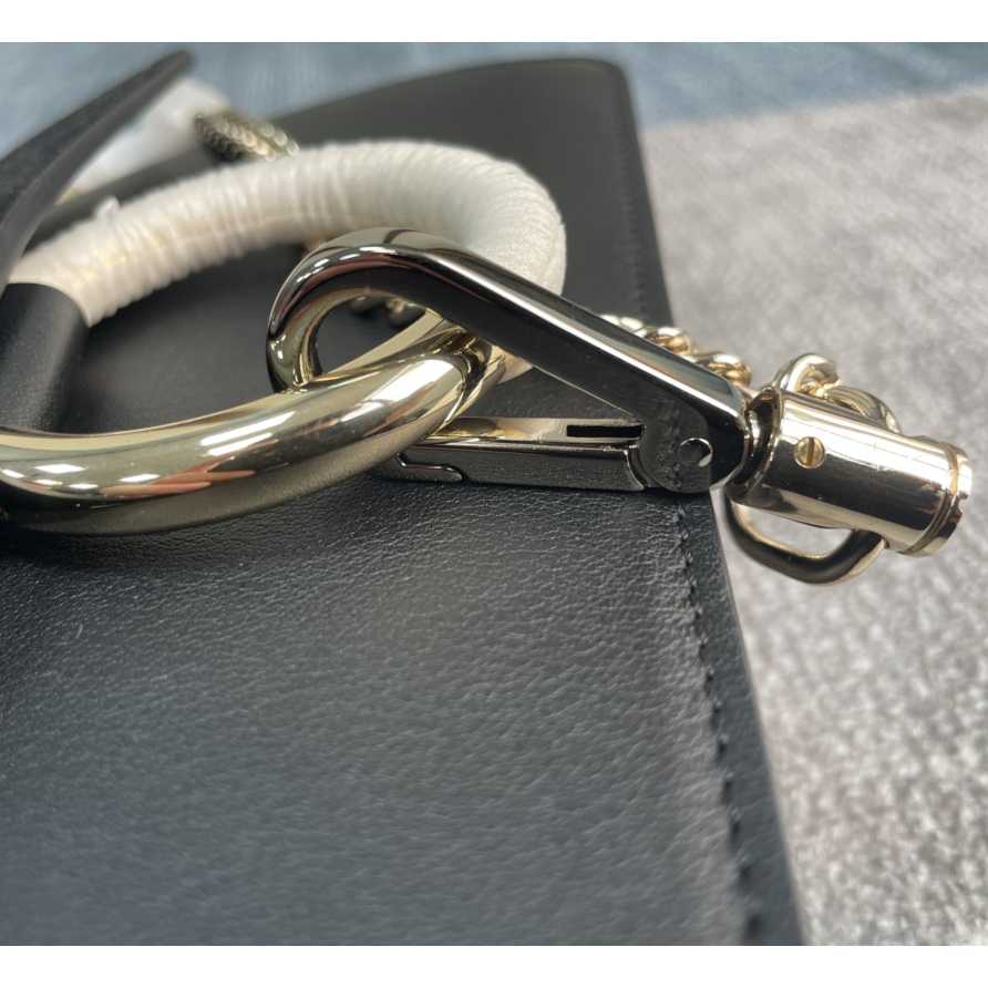Chloe Faye Wallet On Strap(24-15-7cm) - 
