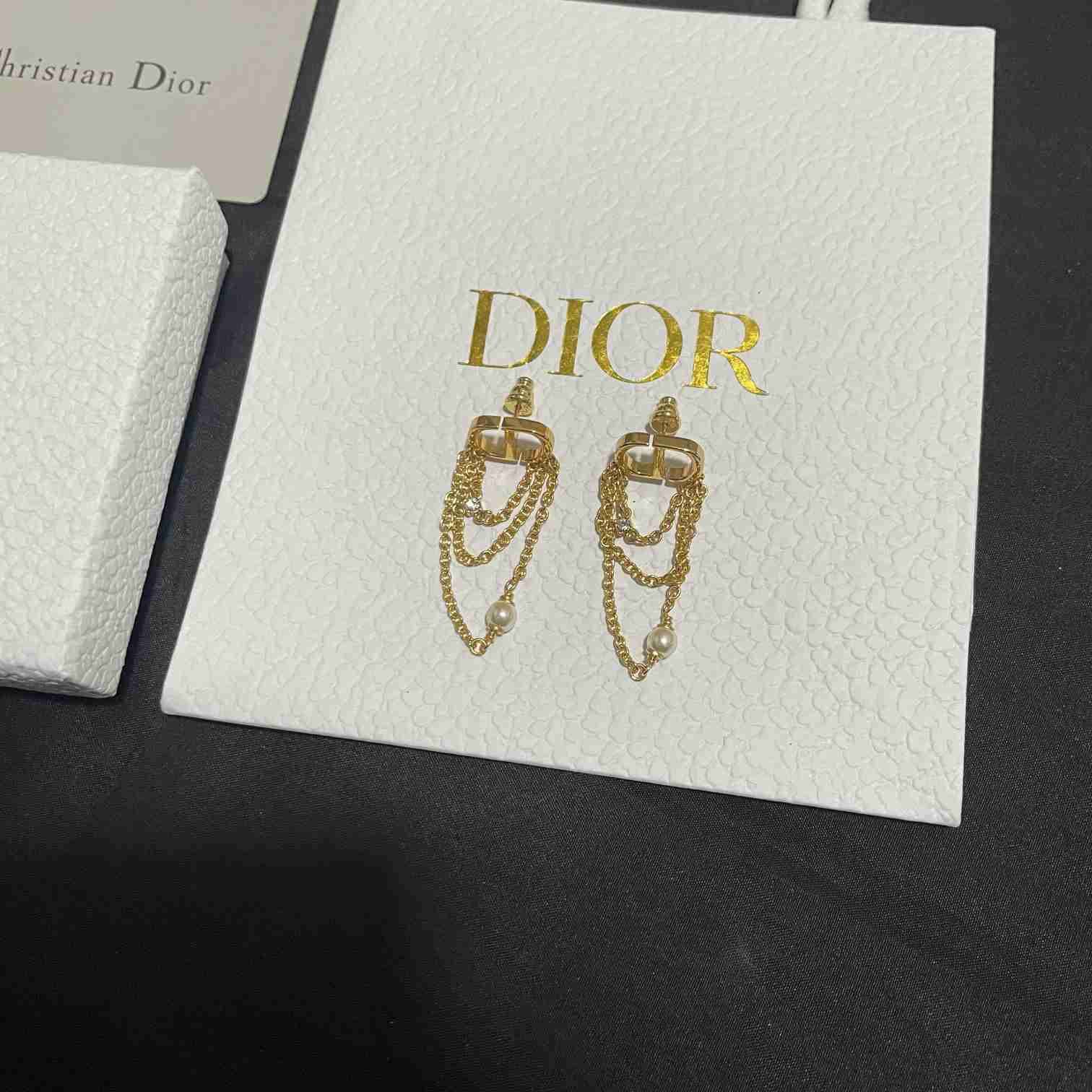 Dior Petit CD Earrings  - DesignerGu