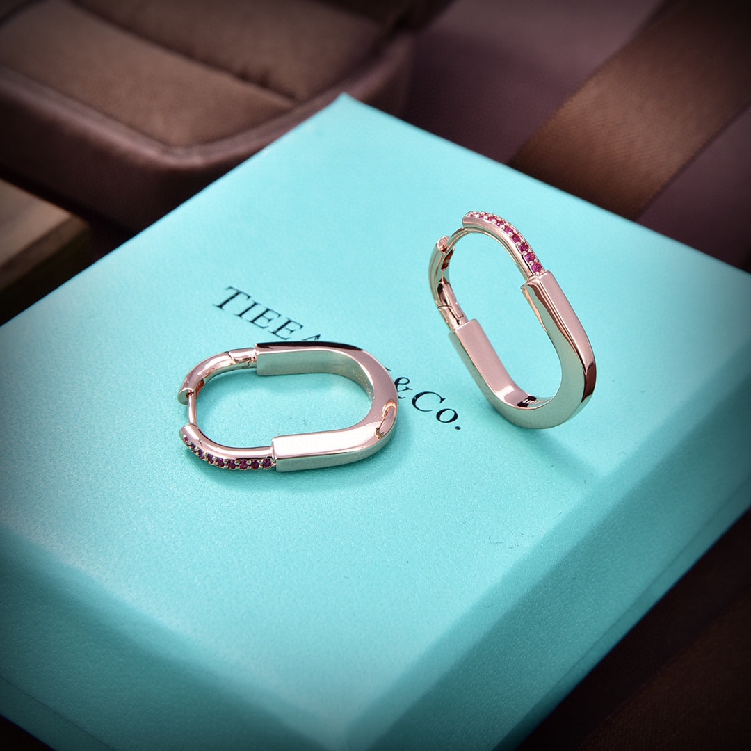 Tiffany&CO Earrings - DesignerGu