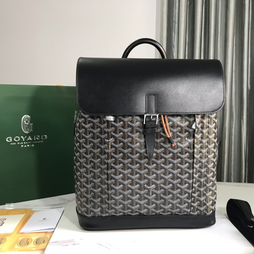 Goyard Alpin MM Backpack - DesignerGu