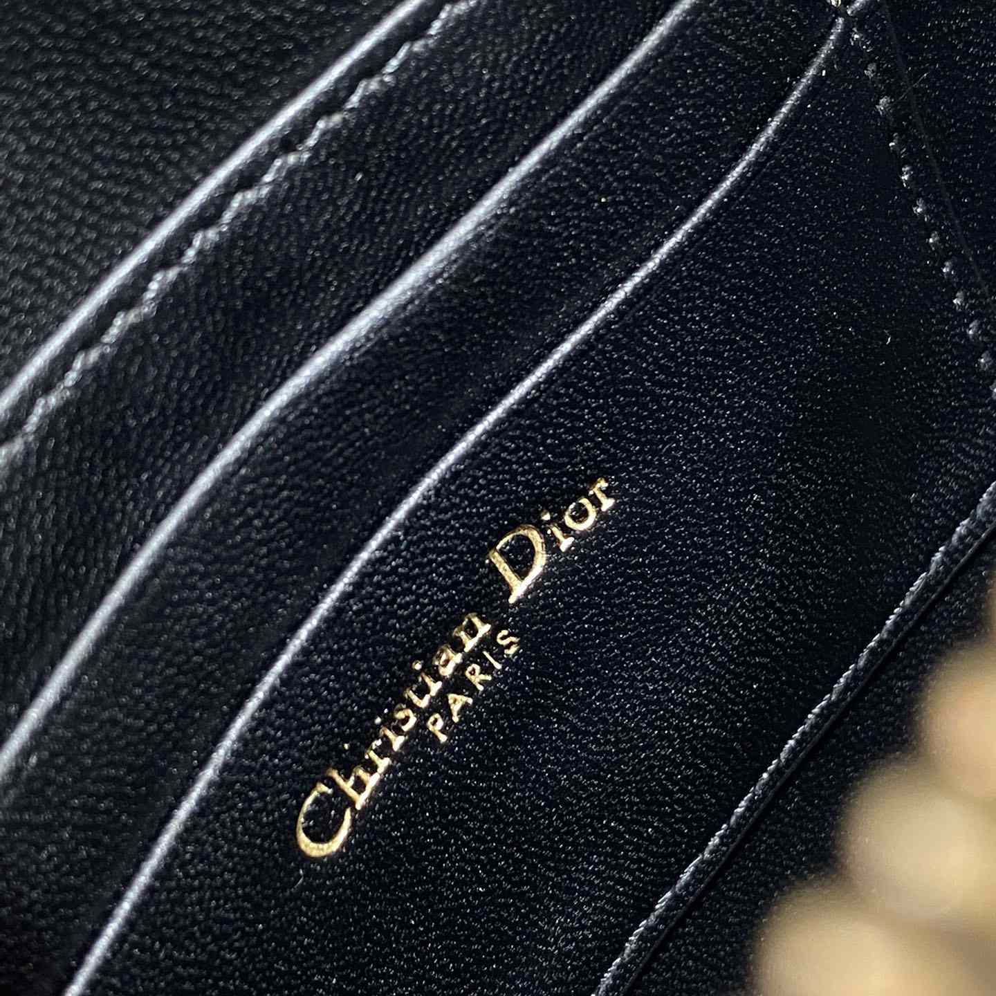 Dior Saddle Shoulder Pouch - 