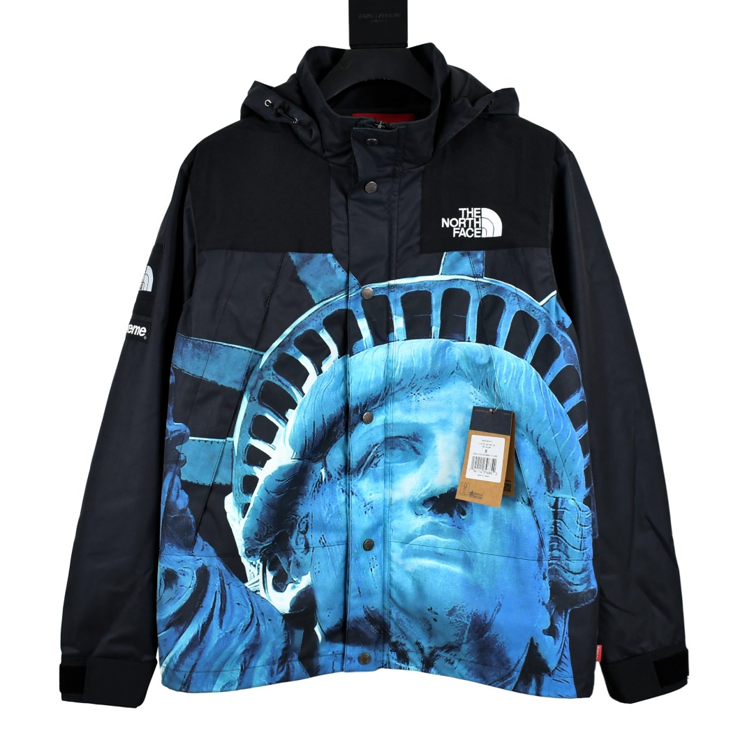 Supreme x The North Face "Statue Of Liberty" Mountain Jacket - DesignerGu