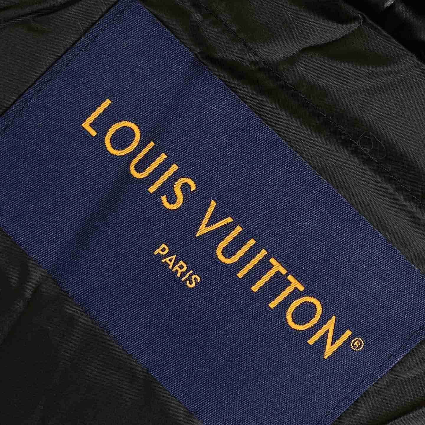 Louis Vuitton Down Blouson - DesignerGu