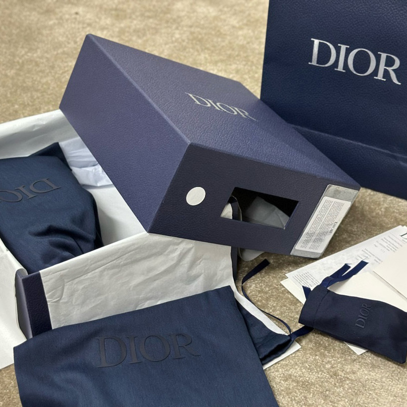 Dior B22 Sneaker  - 