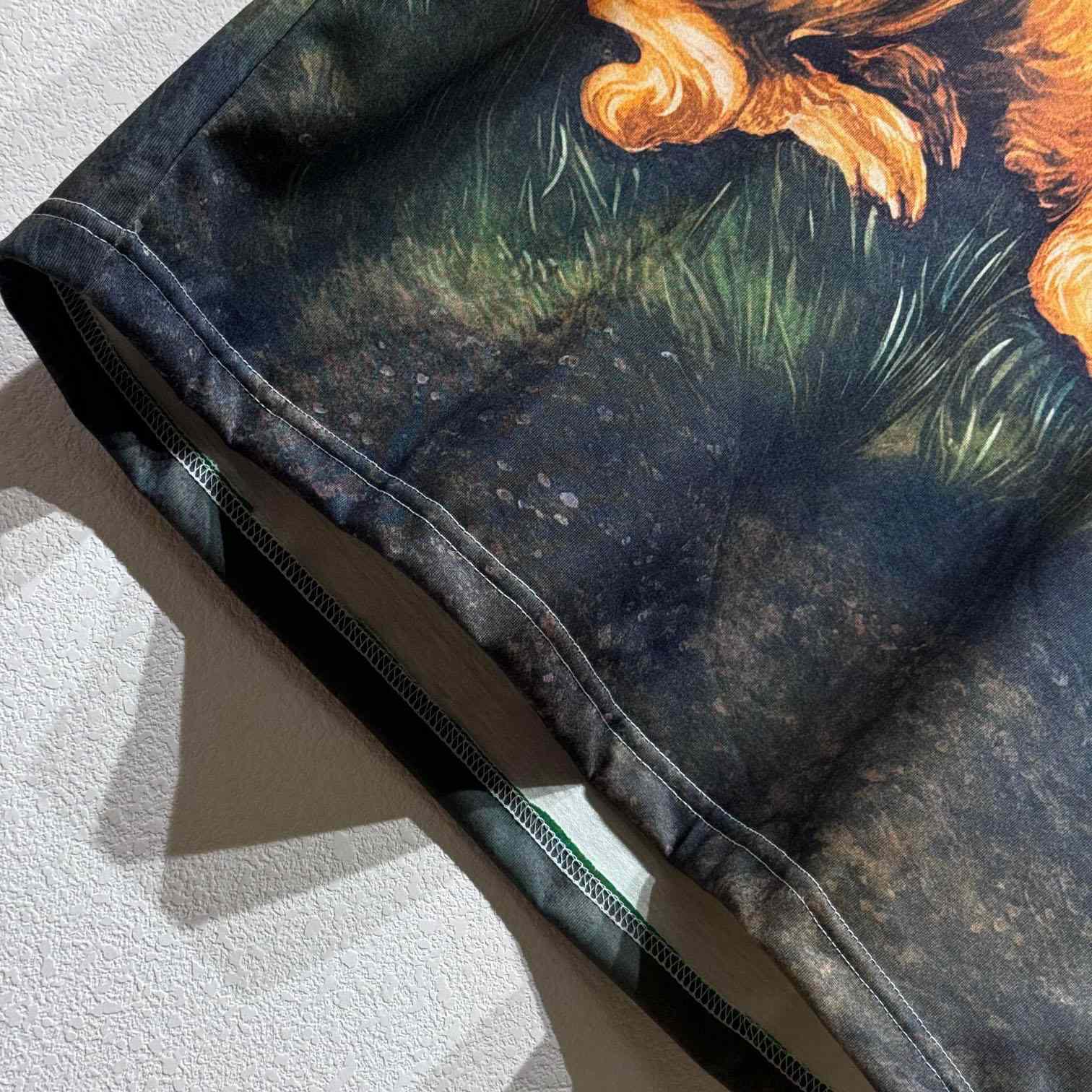 Loewe Brussels Griffon-print T-shirt - DesignerGu