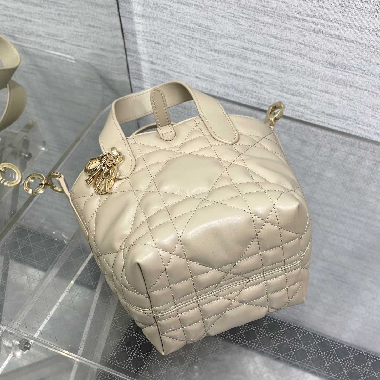 Dior Toujours Vertical Nano Tote Bag  - DesignerGu