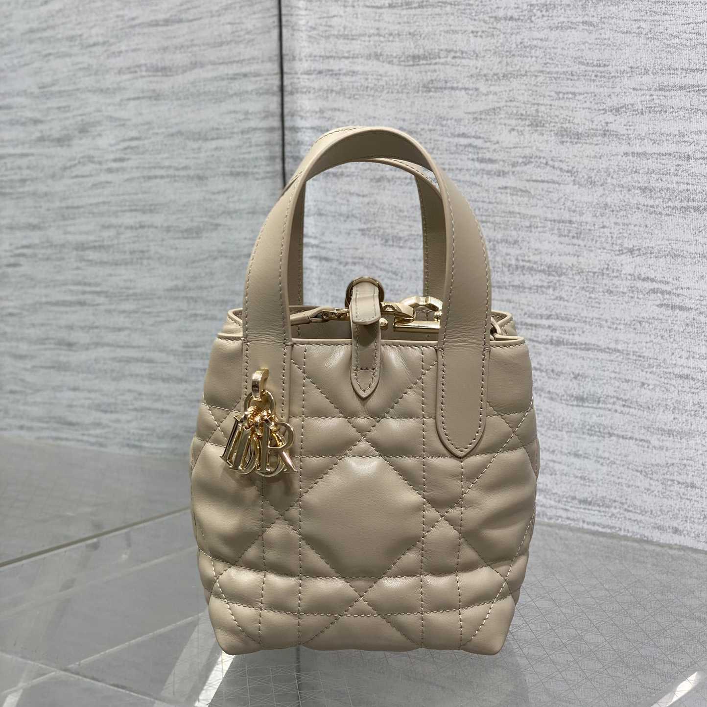 Dior Toujours Vertical Nano Tote Bag  - DesignerGu