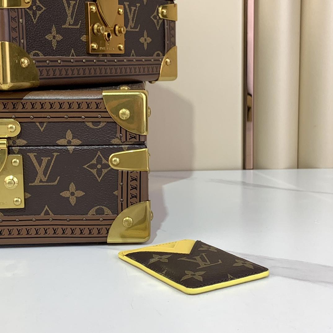 Louis Vuitton Porte-Cartes Magnet  M12853 - DesignerGu