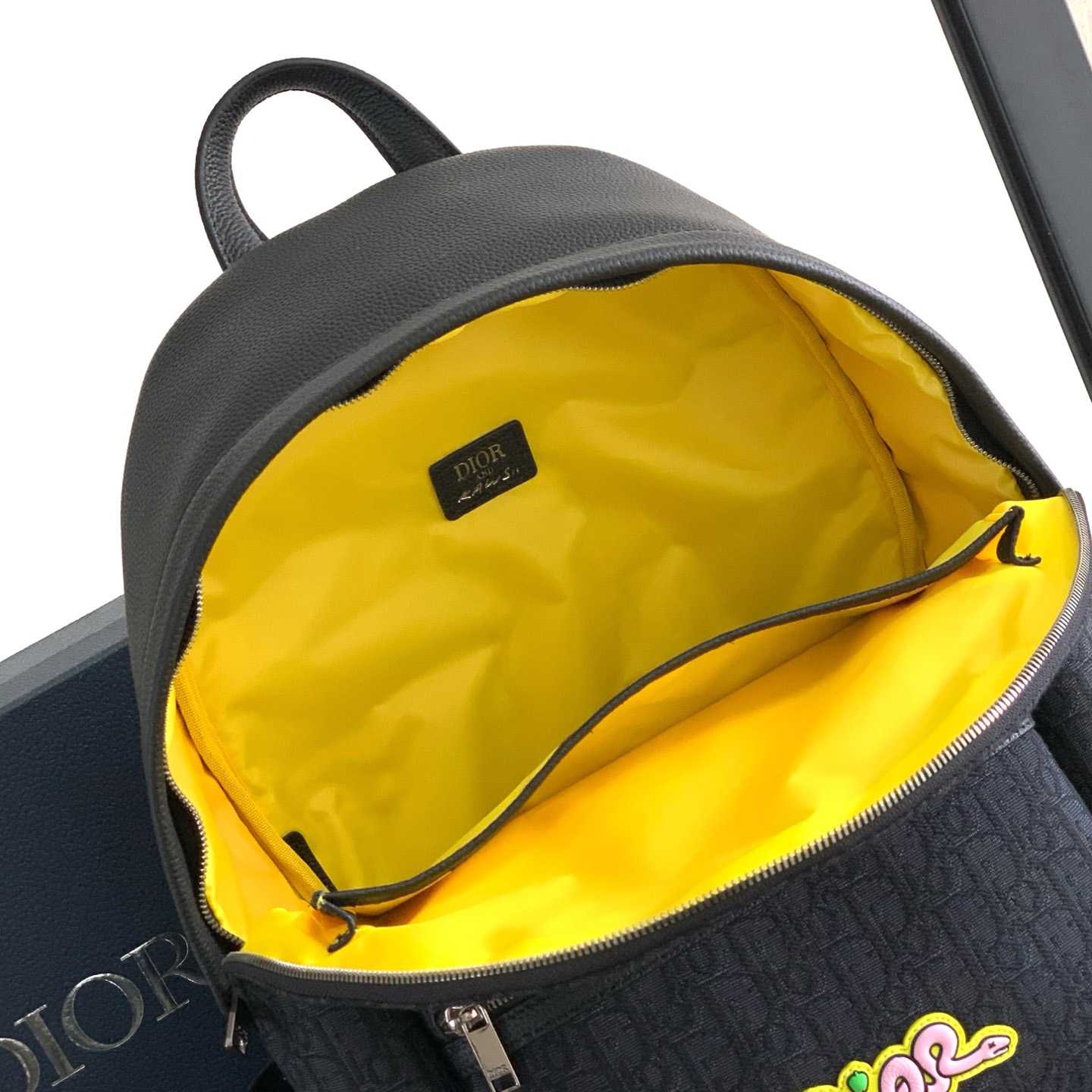 Dior And Kaws Rider 2.0 Zipped Backpack  - DesignerGu