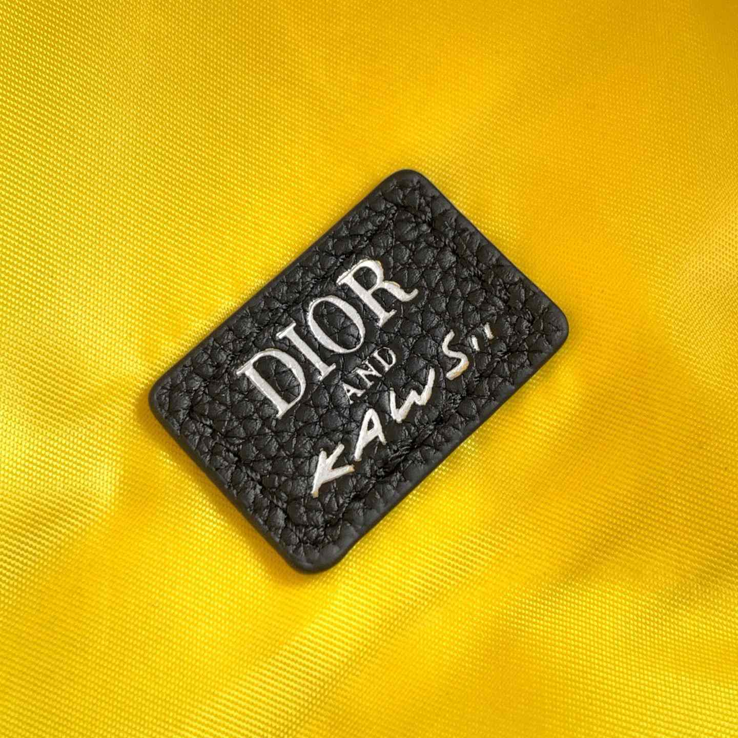Dior And Kaws Rider 2.0 Zipped Backpack  - DesignerGu