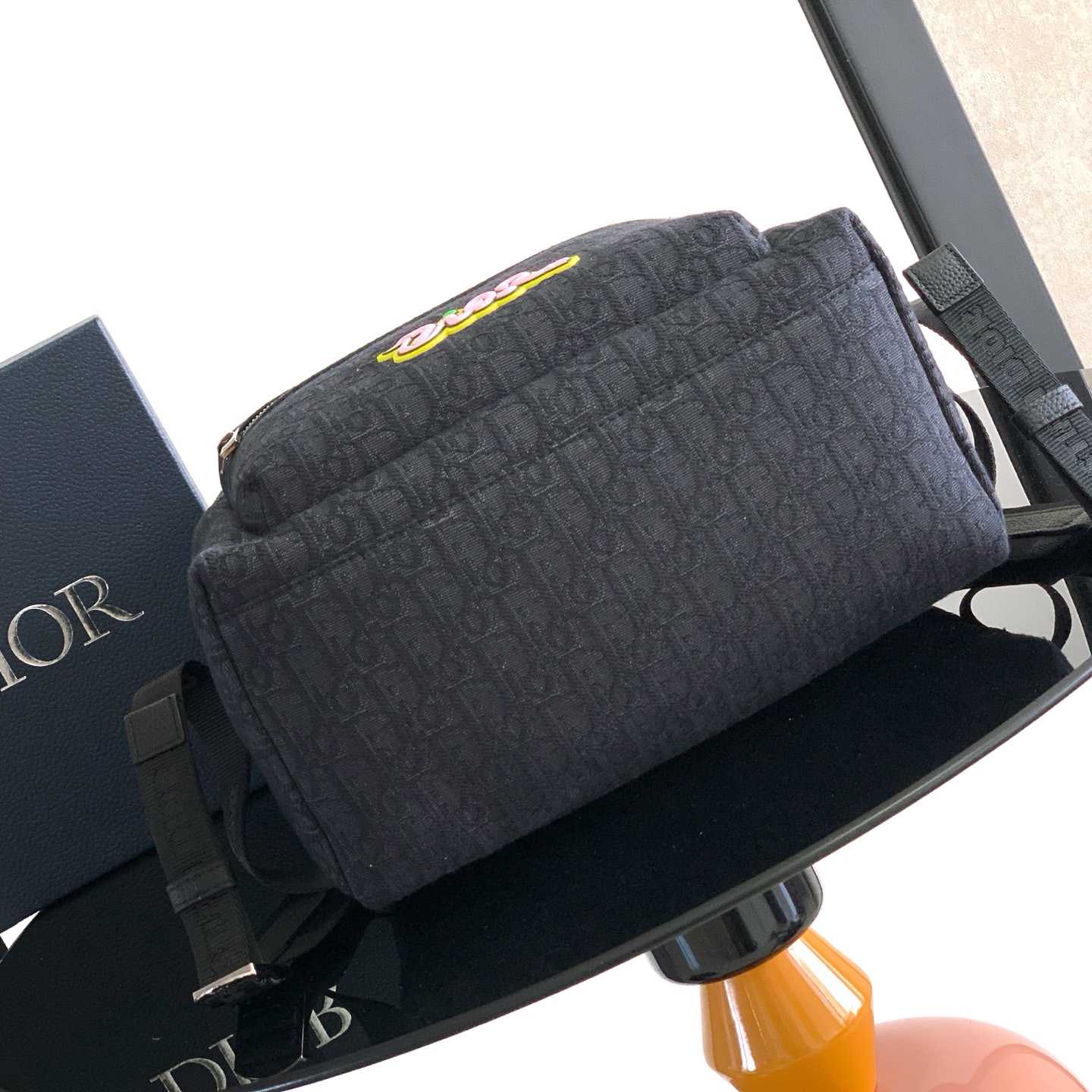 Dior And Kaws Rider 2.0 Zipped Backpack  - DesignerGu