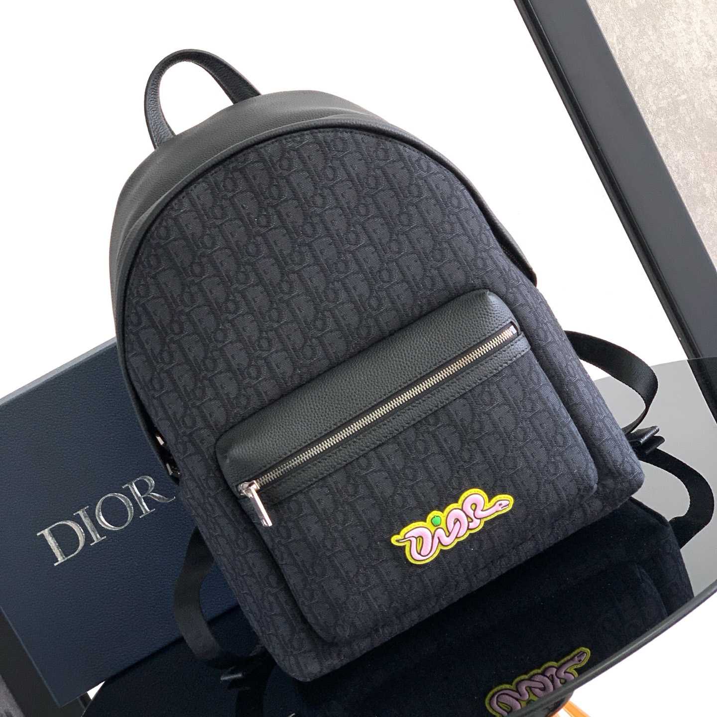 Dior And Kaws Rider 2.0 Zipped Backpack  - DesignerGu