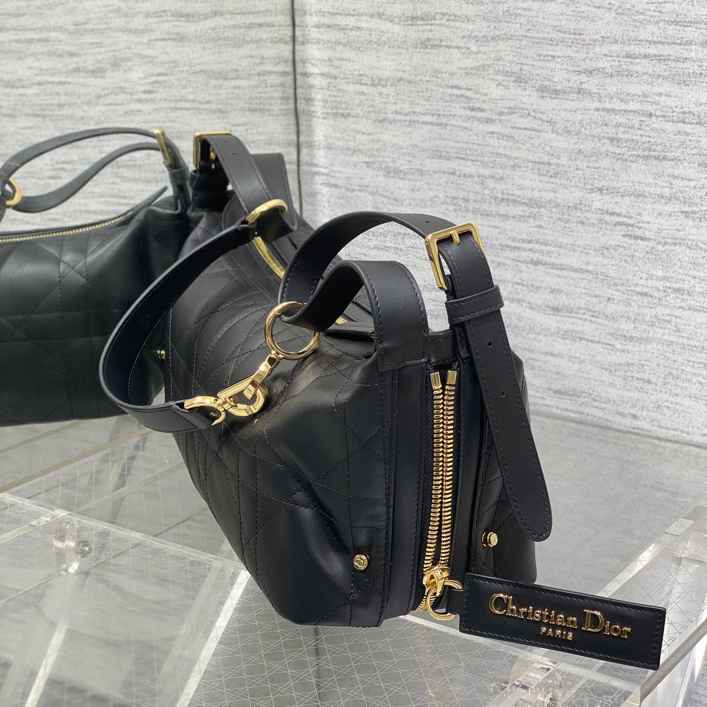 Dior Medium D-Journey Bag in Shiny Goatskin  - DesignerGu