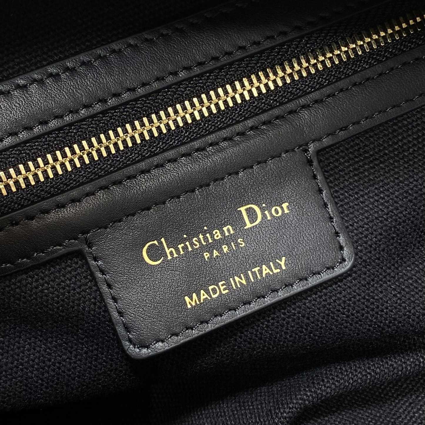 Dior Medium D-Journey Bag in Shiny Goatskin  - DesignerGu