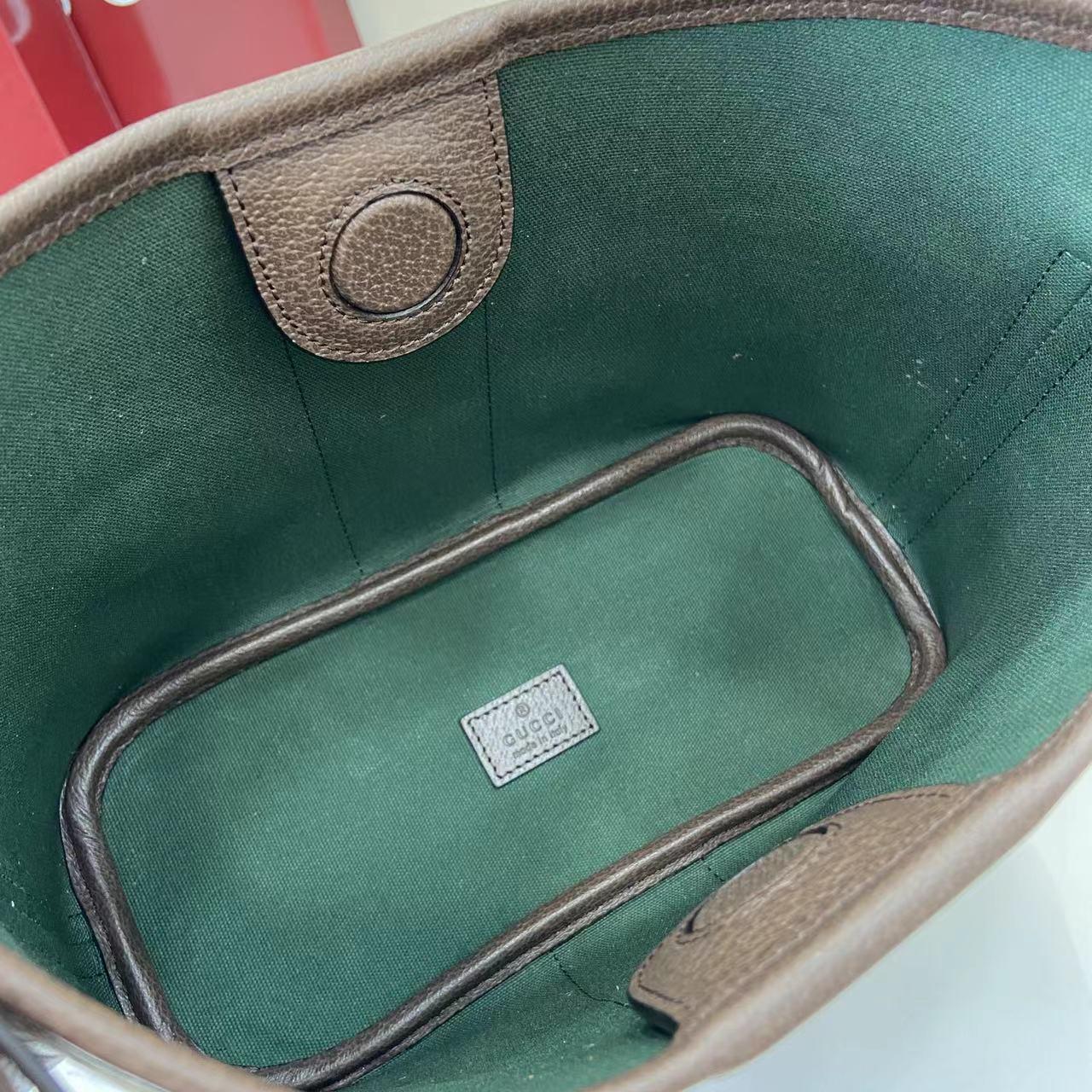 Gucci Ophidia Small Shoulder Bag - DesignerGu