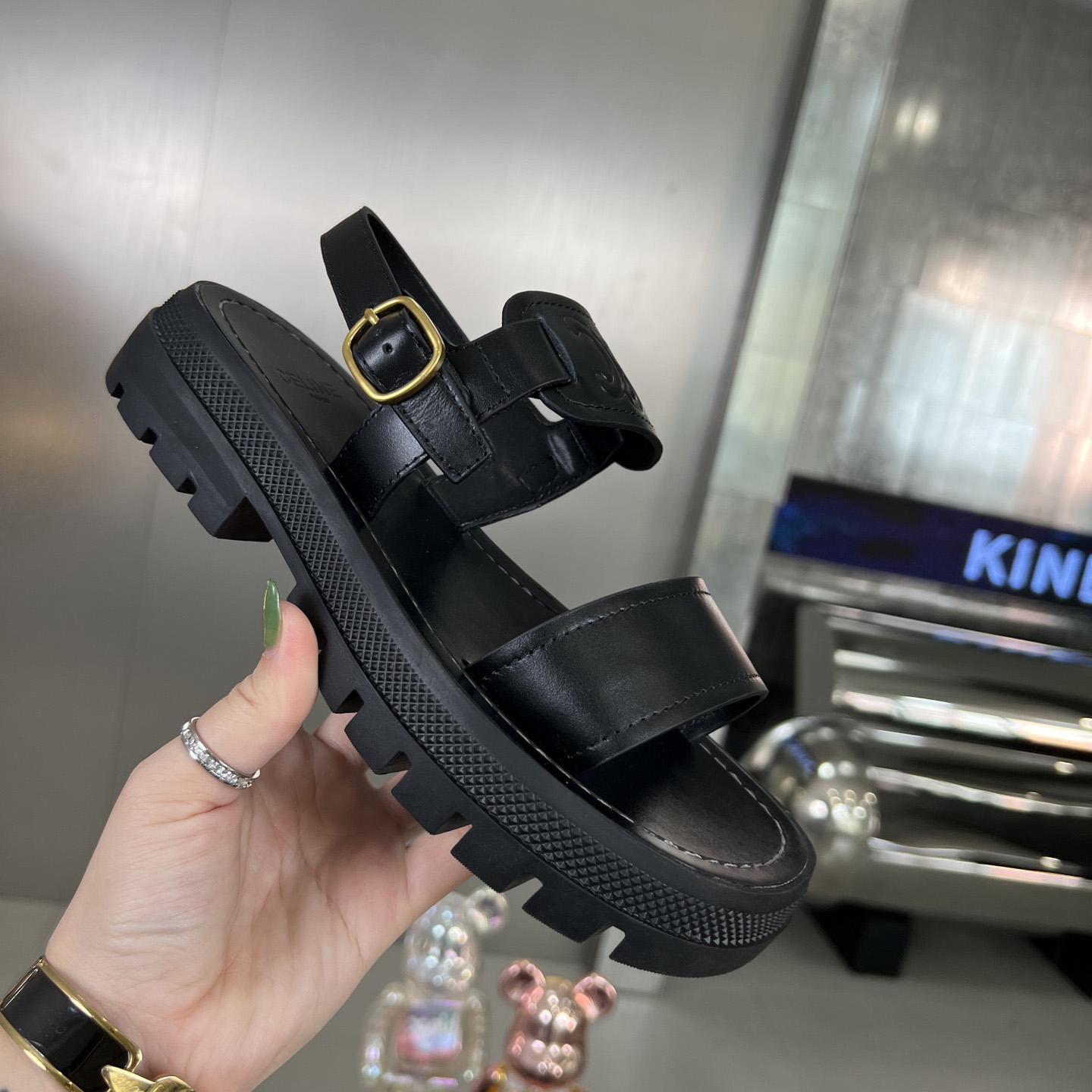 Celine Clea Triomphe Sandal In Vegetable - DesignerGu